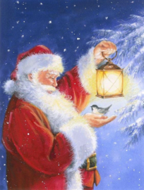 Kerstman met vogel Diamond Painting