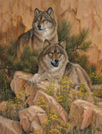 Wolven Diamond Painting