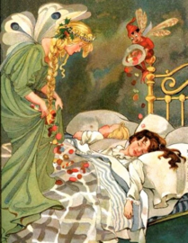 Mooie Dromen Diamond Painting full