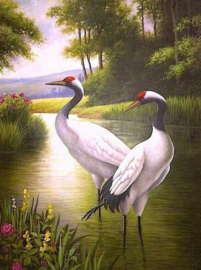 Vogels in meer Diamond Painting full