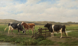 Nakken koeien en stier Diamond Painting