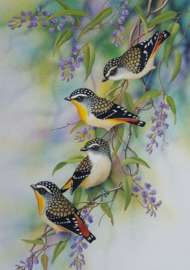 Vogels met stippen Diamond Painting full