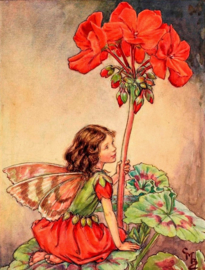 Geranium Elfje Diamond Painting full