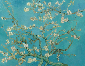 Gogh Amandelbloesem Diamond Painting full