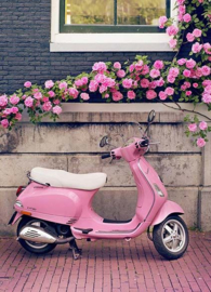 Roze Scooter Diamond Painting