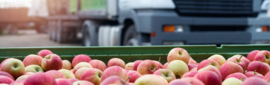 HACCP voor logistiek medewerkers