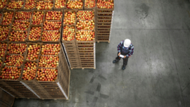 Voedselveiligheid voor warehousemedewerkers