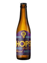 100 Watt Brewery - Hops upside your Head