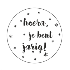 Stickers | Hoera, je bent jarig!  | 10 stuks