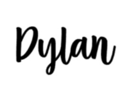 Ontwerp Dylan