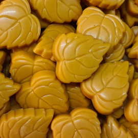 SWEET AUTUMN (15)