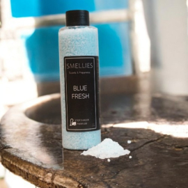 STOFZUIGERKORRELS  (3) - Blue Fresh