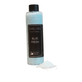 STOFZUIGERKORRELS  (3) - Blue Fresh