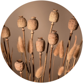 Muurcirkel House of Valley | Papaver