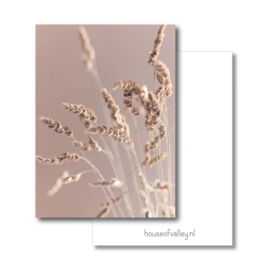 A4 poster | Gedroogd riet