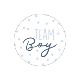 Sticker - Team Boy - wit/blauw - 10 stuks