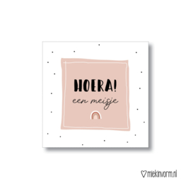 Cadeaulabel - Hoera! een meisje / vierkant - per stuk