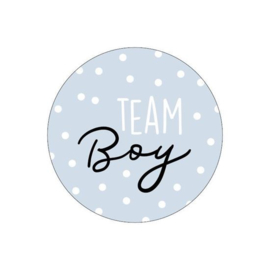 Sticker - Team Boy - blauw/wit - 10 stuks