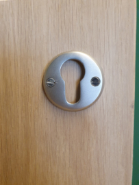 Cylinderslotplaat rond mat nikkel