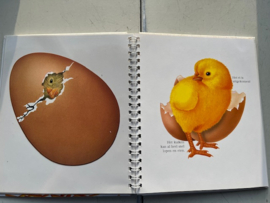 Boek  Het ei    Biblion