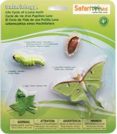 Nachtvlinder levenscyclus