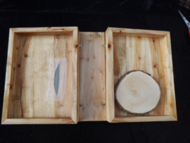 Boomboek Treurwilg  Xylotheek