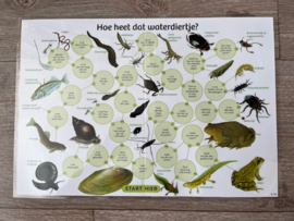 Waterdieren  gelamineerd