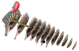 Egel Eugy 3D