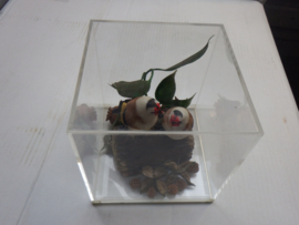 Vitrine met vogelbeeldjes