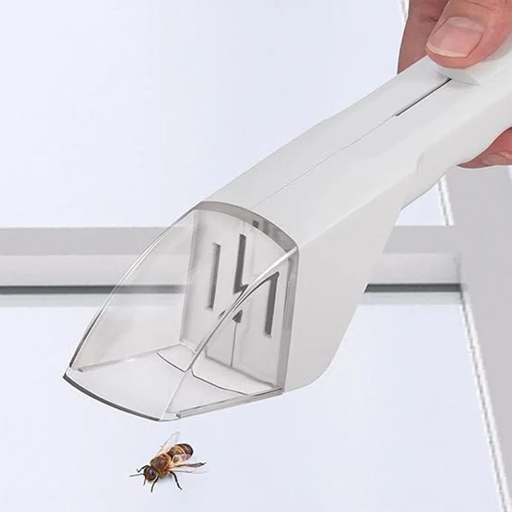 Insect catcher