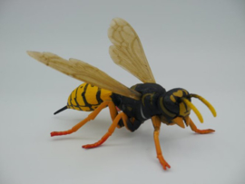 Insektenmodellen