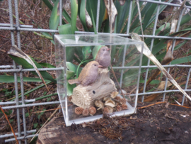 Vitrine met vogelbeeldje  Winterkoninkje