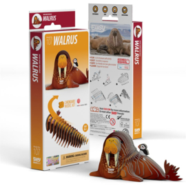 Walrus Eugy 3D