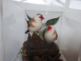 Vitrine met vogelbeeldjes