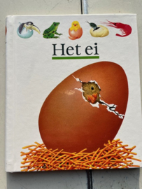 Opruiming