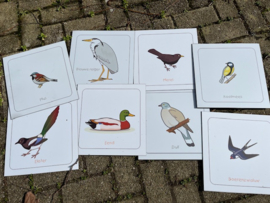 Vogelplaten