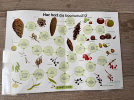 Vruchten aan bomen (gelamineerd)