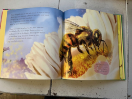 Prentenboek Bijen