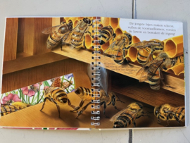 Informatieboek Bijen