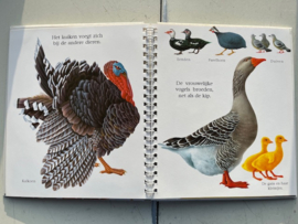 Boek  Het ei    Biblion