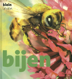 Prentenboek Bijen