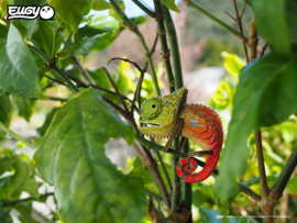 Kameleon Eugy 3D