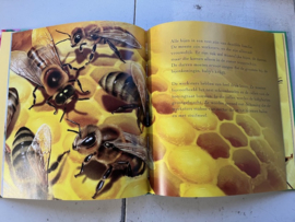 Prentenboek Bijen