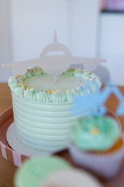 Cake topper 'Vliegtuig'