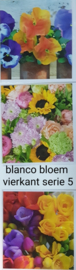 3 stuks blanco wenskaart vierkant  bloem met envelop  keuze uit 10 series klik hier voor andere series