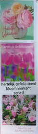 3 stuks wenskaart vierkant ( B) hartelijk gefeliciteerd bloem met envelop keuze uit 8 series klik hier voor de andere series