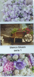 3 wenskaarten met envelop blanco bloem keuze uit 10 series klik hier voor de andere series