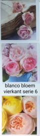 3 stuks blanco wenskaart vierkant  bloem met envelop  keuze uit 10 series klik hier voor andere series