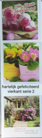 3 stuks wenskaart vierkant hartelijk gefeliciteerd bloem met envelop keuze uit 10 series klik hier voor de andere series