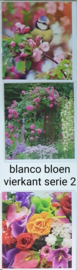 3 stuks blanco wenskaart vierkant  bloem met envelop  keuze uit 10 series klik hier voor andere series